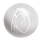 Icon Adamed