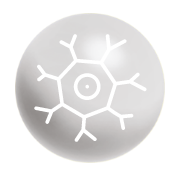 Icon Adamed
