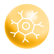 Icon Adamed